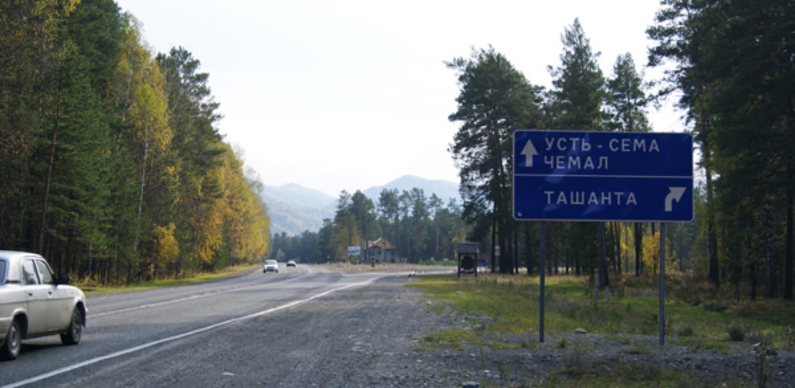 Туристический рынок с лотками алтайских трав, мёда и сувениров