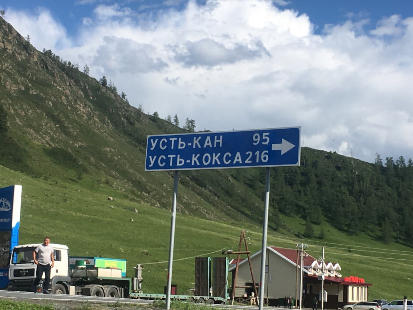 Лошади на цветущем лугу на фоне зелёных холмов и реки